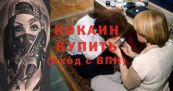 индика Семёнов