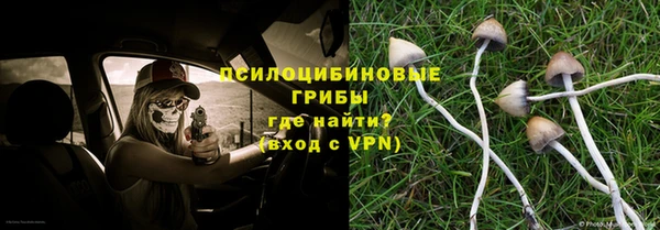индика Семёнов