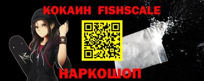 крисы Пенза