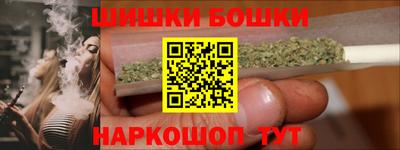 крисы Пенза