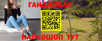 крисы Пенза