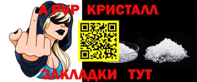 крисы Пенза