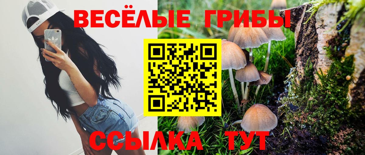Псилоцибиновые грибы мицелий  Вход с VPN  Тольятти 